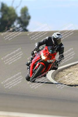 media/Sep-21-2025-TrackDaz (Sun) [[277c75b276]]/B Group/1220pm (Turn 2)/